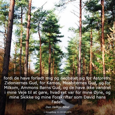 Picture 03 - 1 Kongebog 11:33 DA1871 - fordi de have forladt mig og nedbøjet sig for - Bible Verse Picture