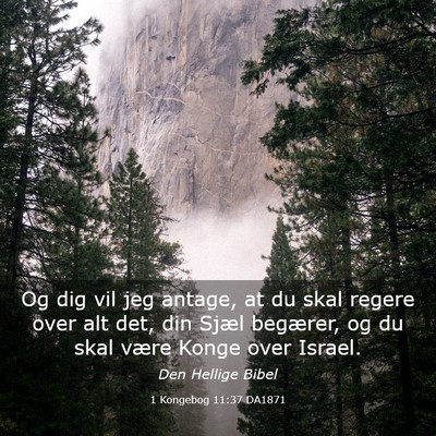 Picture 03 - 1 Kongebog 11:37 DA1871 - Og dig vil jeg antage, at du skal regere over alt - Bible Verse Picture