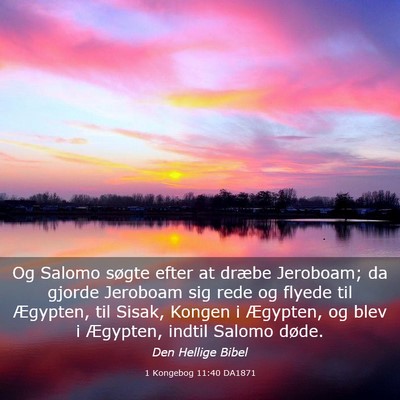 Picture 03 - 1 Kongebog 11:40 DA1871 - Og Salomo søgte efter at dræbe Jeroboam; da - Bible Verse Picture