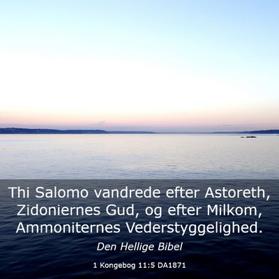 Picture 03 - 1 Kongebog 11:5 DA1871 - Thi Salomo vandrede efter Astoreth, Zidoniernes - Bible Verse Picture