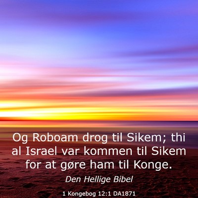 Picture 03 - 1 Kongebog 12:1 DA1871 - Og Roboam drog til Sikem; thi al Israel var - Bible Verse Picture