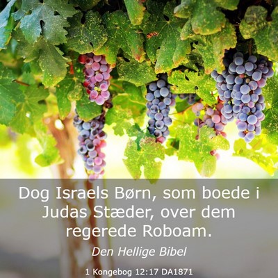 Picture 03 - 1 Kongebog 12:17 DA1871 - Dog Israels Børn, som boede i Judas Stæder, - Bible Verse Picture