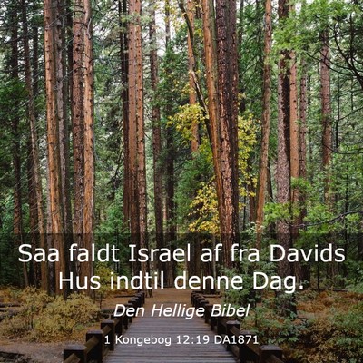 Picture 03 - 1 Kongebog 12:19 DA1871 - Saa faldt Israel af fra Davids Hus indtil denne - Bible Verse Picture