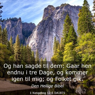 Picture 03 - 1 Kongebog 12:5 DA1871 - Og han sagde til dem: Gaar hen endnu i tre Dage, - Bible Verse Picture