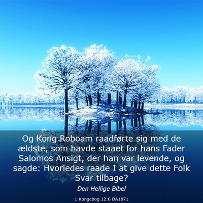 Picture 03 - 1 Kongebog 12:6 DA1871 - Og Kong Roboam raadførte sig med de ældste, som - Bible Verse Picture