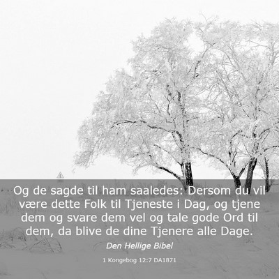 Picture 03 - 1 Kongebog 12:7 DA1871 - Og de sagde til ham saaledes: Dersom du vil være - Bible Verse Picture