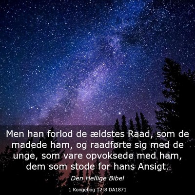 Picture 03 - 1 Kongebog 12:8 DA1871 - Men han forlod de ældstes Raad, som de madede - Bible Verse Picture