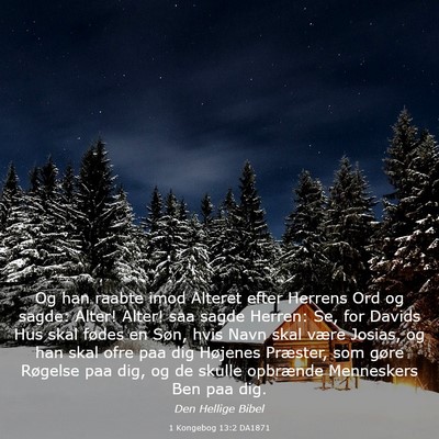 Picture 03 - 1 Kongebog 13:2 DA1871 - Og han raabte imod Alteret efter Herrens Ord og - Bible Verse Picture