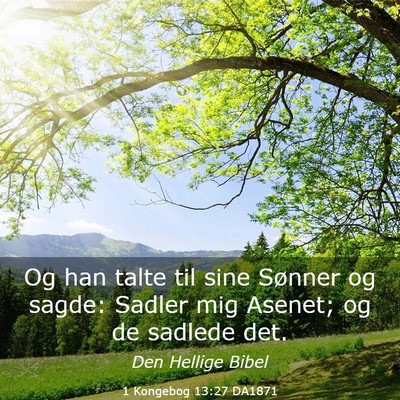 Picture 03 - 1 Kongebog 13:27 DA1871 - Og han talte til sine Sønner og sagde: Sadler - Bible Verse Picture
