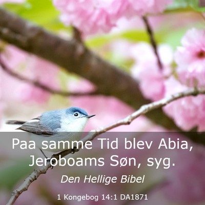 Picture 03 - 1 Kongebog 14:1 DA1871 - Paa samme Tid blev Abia, Jeroboams Søn, - Bible Verse Picture