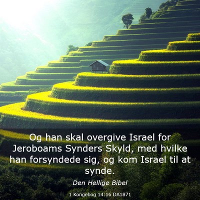 Picture 03 - 1 Kongebog 14:16 DA1871 - Og han skal overgive Israel for Jeroboams Synders - Bible Verse Picture