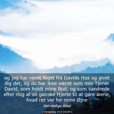 Picture 03 - 1 Kongebog 14:8 DA1871 - og jeg har revet Riget fra Davids Hus og givet - Bible Verse Picture
