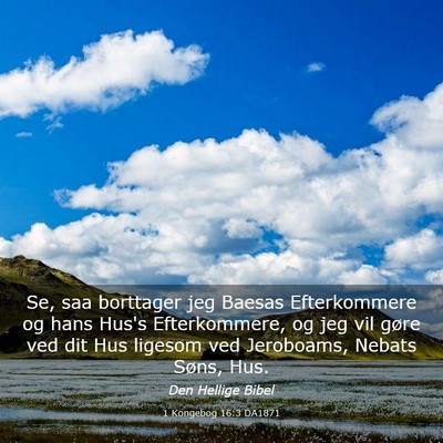 Picture 03 - 1 Kongebog 16:3 DA1871 - Se, saa borttager jeg Baesas Efterkommere og hans - Bible Verse Picture