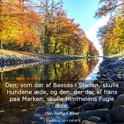 Picture 03 - 1 Kongebog 16:4 DA1871 - Den, som dør af Baesas i Staden, skulle Hundene - Bible Verse Picture