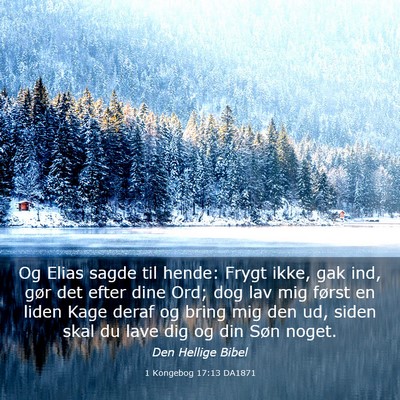 Picture 03 - 1 Kongebog 17:13 DA1871 - Og Elias sagde til hende: Frygt ikke, gak ind, - Bible Verse Picture