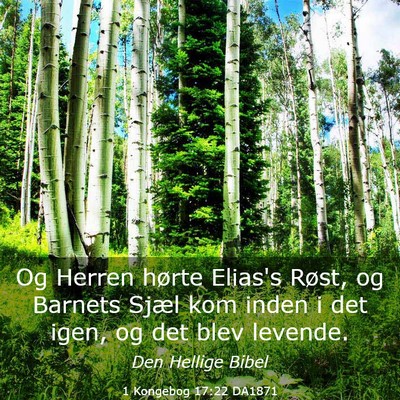 Picture 03 - 1 Kongebog 17:22 DA1871 - Og Herren hørte Elias's Røst, og Barnets Sjæl - Bible Verse Picture
