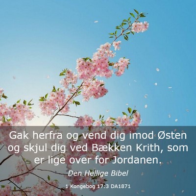 Picture 03 - 1 Kongebog 17:3 DA1871 - Gak herfra og vend dig imod Østen og skjul dig - Bible Verse Picture