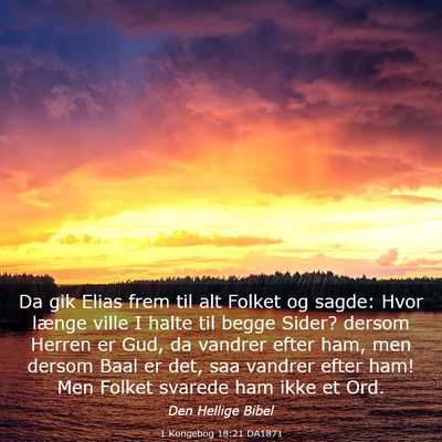 Picture 03 - 1 Kongebog 18:21 DA1871 - Da gik Elias frem til alt Folket og sagde: Hvor - Bible Verse Picture
