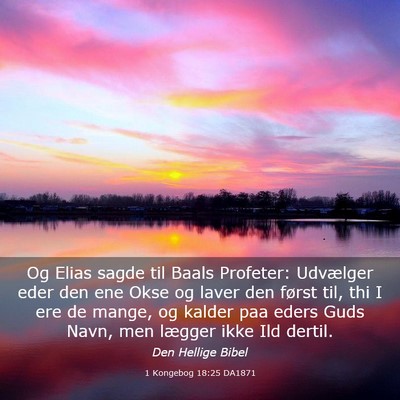 Picture 03 - 1 Kongebog 18:25 DA1871 - Og Elias sagde til Baals Profeter: Udvælger eder - Bible Verse Picture