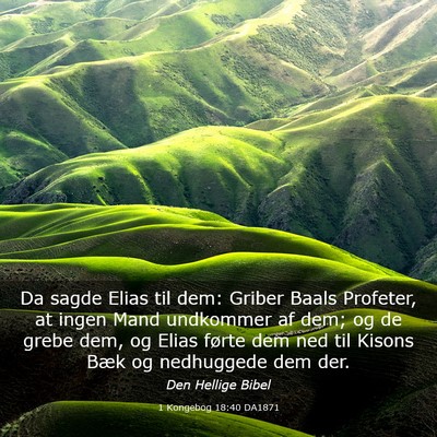 Picture 03 - 1 Kongebog 18:40 DA1871 - Da sagde Elias til dem: Griber Baals Profeter, at - Bible Verse Picture