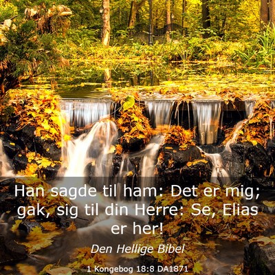 Picture 03 - 1 Kongebog 18:8 DA1871 - Han sagde til ham: Det er mig; gak, sig til din - Bible Verse Picture