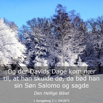 Picture 03 - 1 Kongebog 2:1 DA1871 - Og der Davids Dage kom nær til, at han skulde - Bible Verse Picture