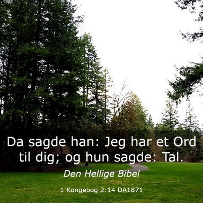 Picture 03 - 1 Kongebog 2:14 DA1871 - Da sagde han: Jeg har et Ord til dig; og hun - Bible Verse Picture