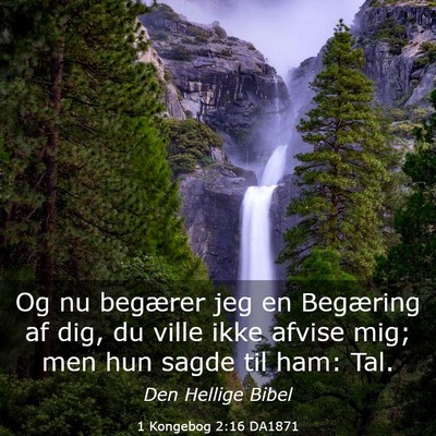 Picture 03 - 1 Kongebog 2:16 DA1871 - Og nu begærer jeg en Begæring af dig, du ville - Bible Verse Picture