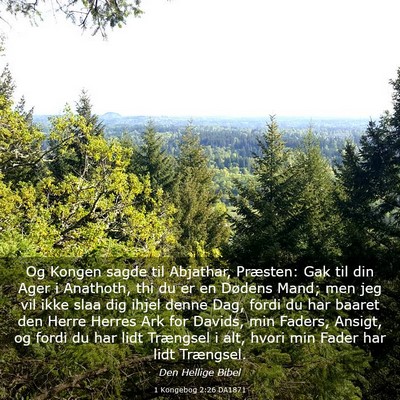 Picture 03 - 1 Kongebog 2:26 DA1871 - Og Kongen sagde til Abjathar, Præsten: Gak til - Bible Verse Picture