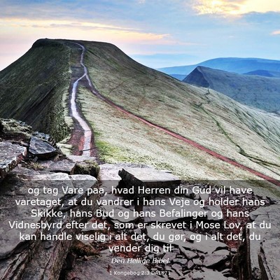 Picture 03 - 1 Kongebog 2:3 DA1871 - og tag Vare paa, hvad Herren din Gud vil have - Bible Verse Picture