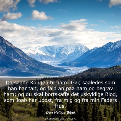 Picture 03 - 1 Kongebog 2:31 DA1871 - Da sagde Kongen til ham: Gør, saaledes som han - Bible Verse Picture