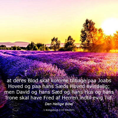 Picture 03 - 1 Kongebog 2:33 DA1871 - at deres Blod skal komme tilbage paa Joabs Hoved - Bible Verse Picture