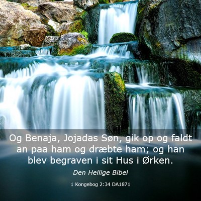 Picture 03 - 1 Kongebog 2:34 DA1871 - Og Benaja, Jojadas Søn, gik op og faldt an paa - Bible Verse Picture