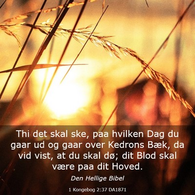 Picture 03 - 1 Kongebog 2:37 DA1871 - Thi det skal ske, paa hvilken Dag du gaar ud og - Bible Verse Picture