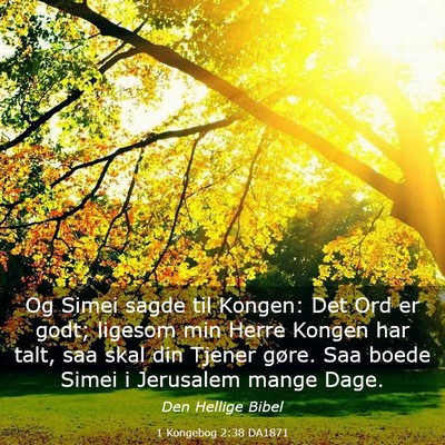 Picture 03 - 1 Kongebog 2:38 DA1871 - Og Simei sagde til Kongen: Det Ord er godt; - Bible Verse Picture