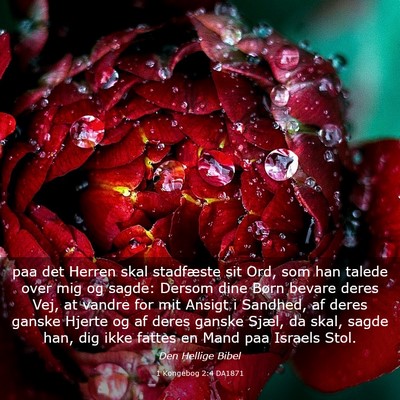 Picture 03 - 1 Kongebog 2:4 DA1871 - paa det Herren skal stadfæste sit Ord, som han - Bible Verse Picture