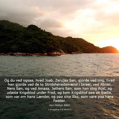 Picture 03 - 1 Kongebog 2:5 DA1871 - Og du ved ogsaa, hvad Joab, Zerujas Søn, gjorde - Bible Verse Picture