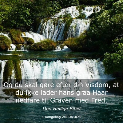 Picture 03 - 1 Kongebog 2:6 DA1871 - Og du skal gøre efter din Visdom, at du ikke - Bible Verse Picture