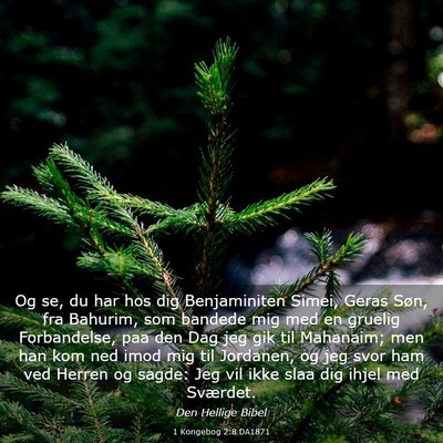 Picture 03 - 1 Kongebog 2:8 DA1871 - Og se, du har hos dig Benjaminiten Simei, Geras - Bible Verse Picture