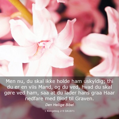 Picture 03 - 1 Kongebog 2:9 DA1871 - Men nu, du skal ikke holde ham uskyldig; thi du - Bible Verse Picture