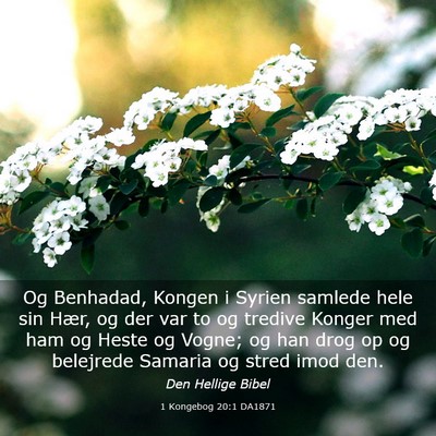 Picture 03 - 1 Kongebog 20:1 DA1871 - Og Benhadad, Kongen i Syrien samlede hele sin - Bible Verse Picture