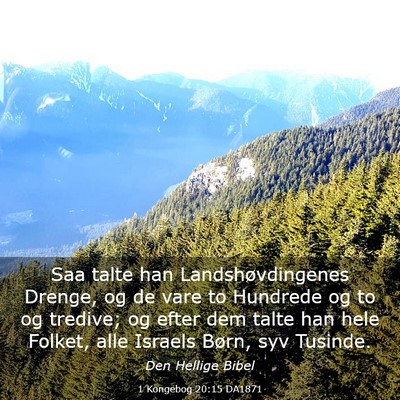 Picture 03 - 1 Kongebog 20:15 DA1871 - Saa talte han Landshøvdingenes Drenge, og de - Bible Verse Picture