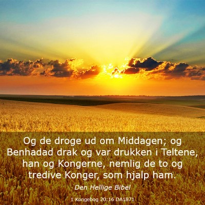 Picture 03 - 1 Kongebog 20:16 DA1871 - Og de droge ud om Middagen; og Benhadad drak og - Bible Verse Picture