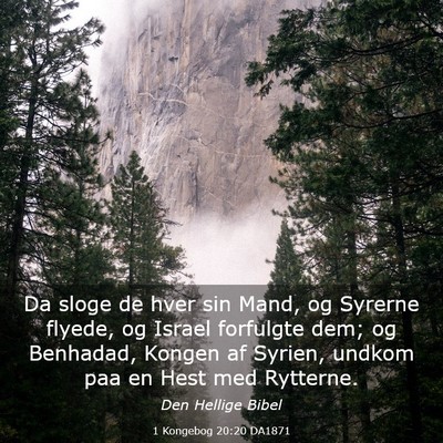 Picture 03 - 1 Kongebog 20:20 DA1871 - Da sloge de hver sin Mand, og Syrerne flyede, og - Bible Verse Picture