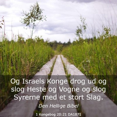 Picture 03 - 1 Kongebog 20:21 DA1871 - Og Israels Konge drog ud og slog Heste og Vogne - Bible Verse Picture