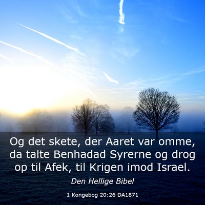 Picture 03 - 1 Kongebog 20:26 DA1871 - Og det skete, der Aaret var omme, da talte - Bible Verse Picture
