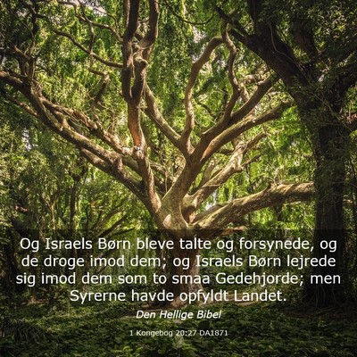 Picture 03 - 1 Kongebog 20:27 DA1871 - Og Israels Børn bleve talte og forsynede, og de - Bible Verse Picture