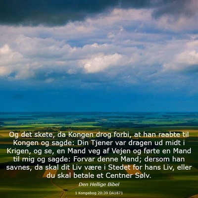 Picture 03 - 1 Kongebog 20:39 DA1871 - Og det skete, da Kongen drog forbi, at han raabte - Bible Verse Picture