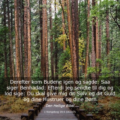 Picture 03 - 1 Kongebog 20:5 DA1871 - Derefter kom Budene igen og sagde: Saa siger - Bible Verse Picture