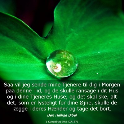 Picture 03 - 1 Kongebog 20:6 DA1871 - Saa vil jeg sende mine Tjenere til dig i Morgen - Bible Verse Picture